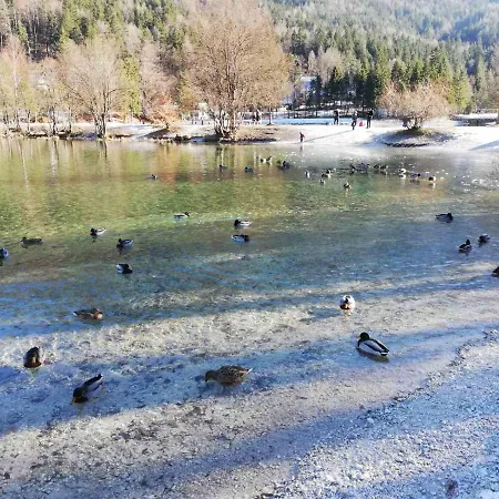 Apartma Viktorija Appartement