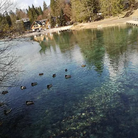 Apartma Viktorija Kranjska Gora