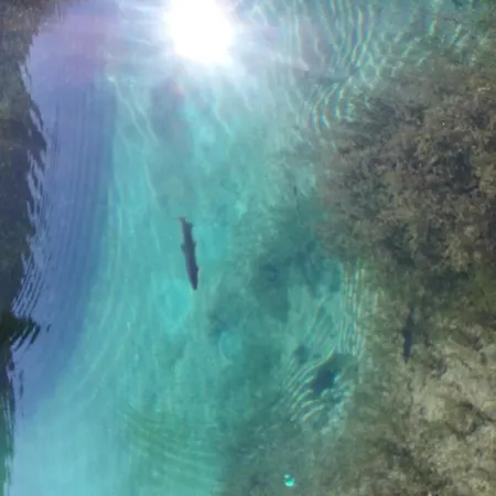 Apartma Viktorija Appartement *