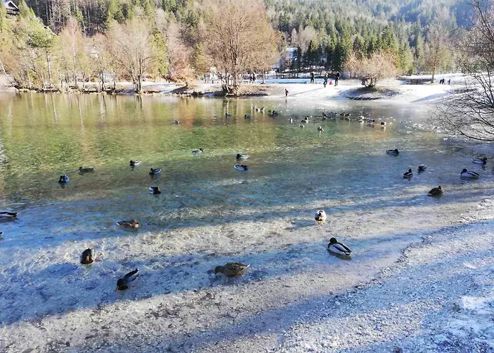 Apartma Viktorija Apartment