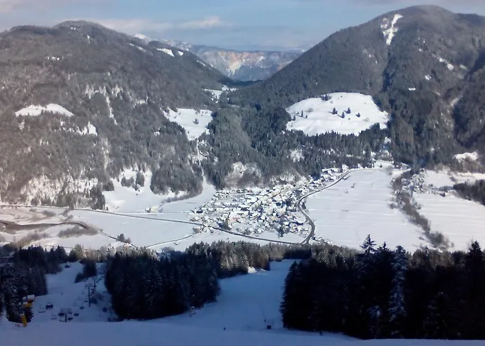 Apartma Viktorija Apartment