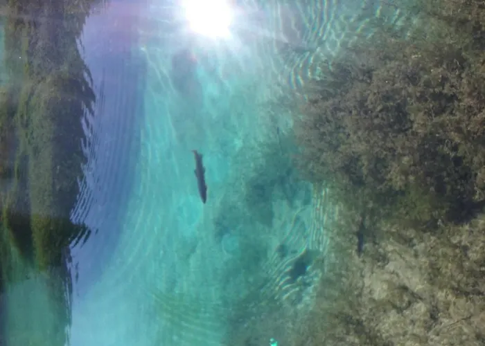 Apartma Viktorija Apartment *