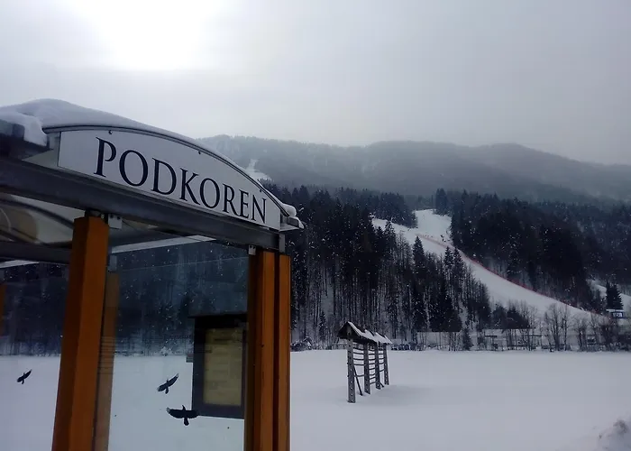 Apartment Apartma Viktorija Kranjska Gora